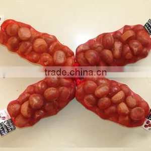Fresh Chestnut in Shell for Sale thumbnail-1