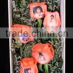Affordable Digital Flower Printer thumbnail-2