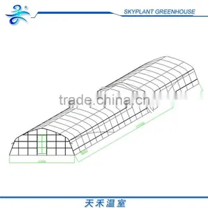Single-span Greenhouse for Vegetables, Plastic Flim Greenhouse, Low Cost thumbnail-3