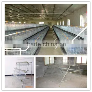Economic Broiler Chicken Cage thumbnail-1
