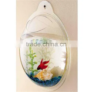 Fish Small Fish Tanks Aquarium thumbnail-6