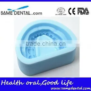 Plaster Model Mold Dental Eduction Assistant No. DEA-11 thumbnail-3