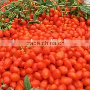 2016 New Crop From Ningxia Manufacture With Best Price thumbnail-2