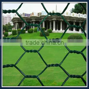 Stainless Steel Hexagonal Weaving Wire Netting/iron Wire Netting/chicken Wire Mesh thumbnail-2