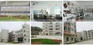 Quanzhou Quanxing Hardware Crafts Co., Ltd. company overview - view 1 thumbnail