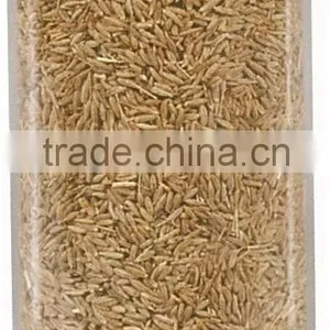 Cumin Seeds thumbnail-1