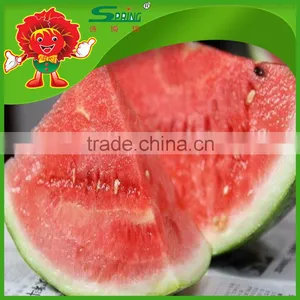 no Frozen Watermelon Cheap Chinese Fresh Watermelon Fake Watermelon thumbnail-1