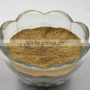 Pure Natural Shitake Mushroom Powder / Shitake Mushroom Extract / Polysaccharides thumbnail-3