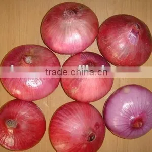 Fresh Onion Red Onion thumbnail-1