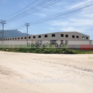 Catfish From Xiamen thumbnail-1