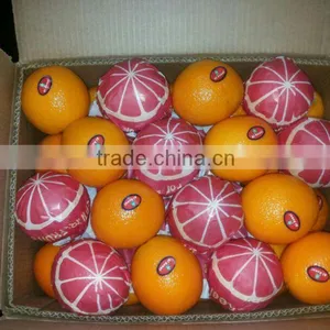 Avilable MOQ of Oranges and Lemons @ Forwell thumbnail-1