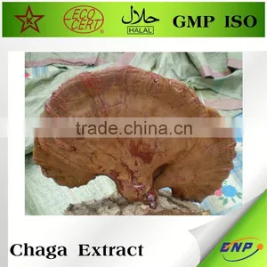 Wild Chaga Mushroom Extract Powder thumbnail-1
