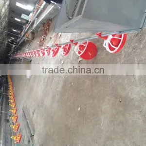Poultry Farm Equipment for Breeder thumbnail-1