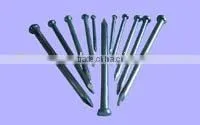 Common Nail thumbnail-1