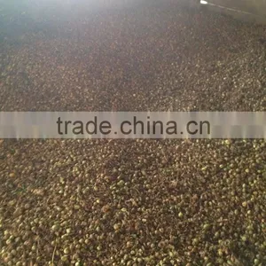 WHOLE SALE BLACK CARDAMOM FOR BANGLADESH MARKET thumbnail-6