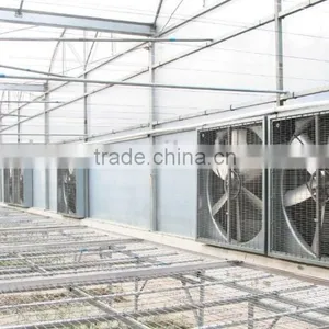36 Inch Wall Mounted Exhaust Fan Agricultural/industrial/poultry Ventilator in Guangzhou thumbnail-4