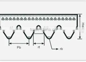 Poly Rib V Belt thumbnail-2