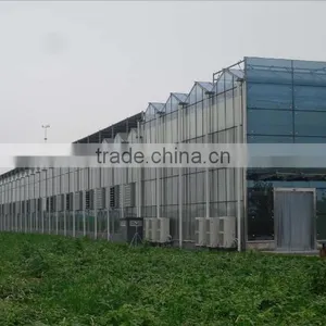 Heat Resistant Transparent Clear Greenhouse Glass thumbnail-1