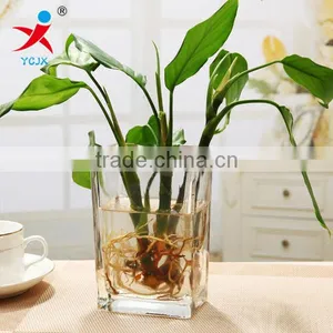More Transparent Quadrate Glass Floret Bottle Hydroponic Money Plant Flower Implement Aggravating the Sitting Room is Contracted thumbnail-1