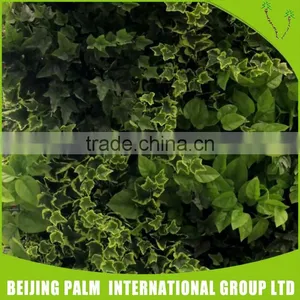 Hot Sale Plastic Artificial Vertical Green Wall For Garden Ornaments thumbnail-4