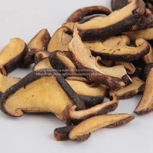 Xianggu Mushroom Chips/Xianggu Mushroom OEM thumbnail-4