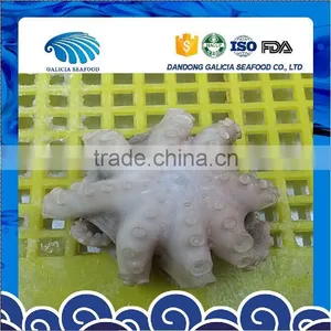 IQF Best Price Baby Octopus For Sale thumbnail-1