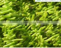 3-9mm Branch Shape Natural Loose Green Coral Bead thumbnail-1