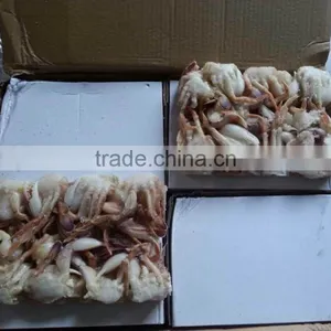 Frozen Half Cut Crab thumbnail-1