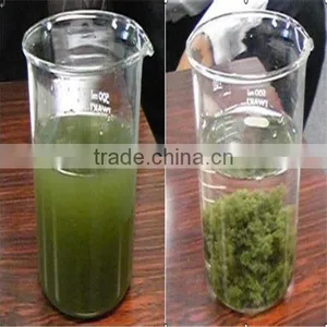 50% Solid Content Cationic Flocculant Decoloring Agent for Textile Dyeing thumbnail-6