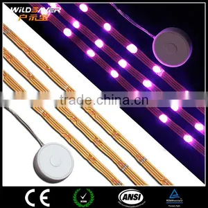 Remote Controlled Battery Operated 5V Flashing Led Strip Light thumbnail-3
