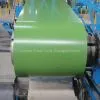 Colour Coated Steel Coil-Colour Coated Steel Coils-Colour Coated Steel Coil Mill thumbnail-1