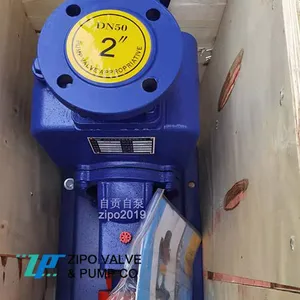 ZIPO no Blockage Horizontal Self-priming Pump Cast Iron Electric Sewage Pump ZZX or ZZW Type thumbnail-2