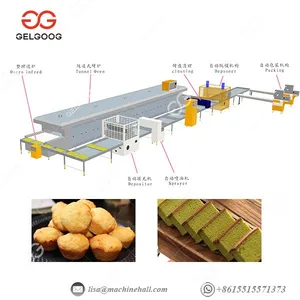 Whole Solution for Sponge Cake Production Line in Electric and Gas thumbnail-2