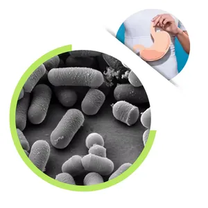 Factory Price Lactobacillus Plantarum Powder, Improving Gastrointestinal Function Probiotic thumbnail-1
