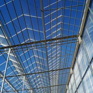 4mm Tempered Greenhouse Glass Panels With UV Protection for Horticulture thumbnail-3