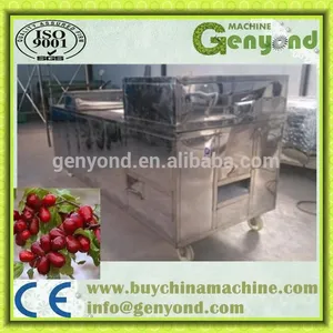 Olives Nuclear and Seed Remove Machine / Olives Pitting and Pitter Machine / Olives Stone Extractor thumbnail-2