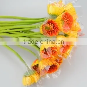 Newest Golden Sun Cute Gerbera Flower thumbnail-1