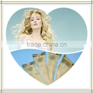2013gradeAAA&high Quality &fashional Brazilian Wet and Wavy Hair thumbnail-1