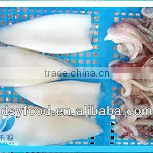 Frozen Squid After Cleaning thumbnail-4