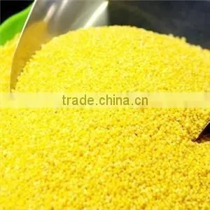 HULLED BROOMCORN MILLET thumbnail-1