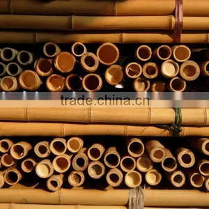 Bamboo Pole Sun-023 thumbnail-1