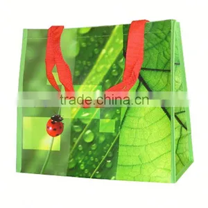 2014 New Product Unique Reusable Shopping Bags thumbnail-1