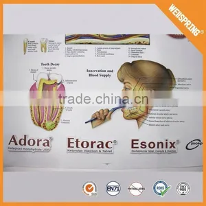 Big Sale Custom Sizeeducational Medical Chart thumbnail-1
