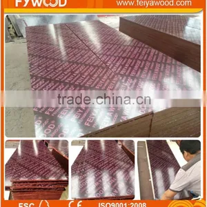 Export Maldives Film Faced Plywood thumbnail-4