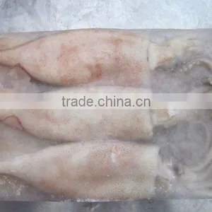 Whole Squid thumbnail-1