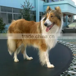 Trampoline (180-427cm) thumbnail-1