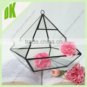 Your Own Creative Inspiring Greenhouse! <Dikina > For Succulent Airplant Clear Textured Sitting Glass Greenhouse thumbnail-1