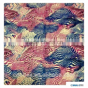 China FDY Polyester/Spandex Printed Fabric thumbnail-1