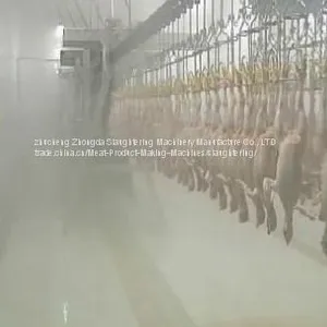 Good Quality and Price Slaughtering House From Zhucheng Zhongda thumbnail-4