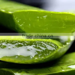 Aloe Vera Gel thumbnail-1